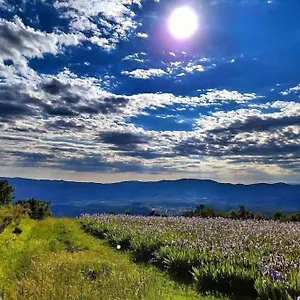 Appartement Casa Chianti, Mercatale Val Di Pesa
